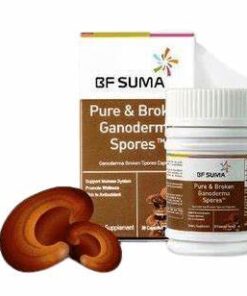 Pure and Broken Ganoderma Spores